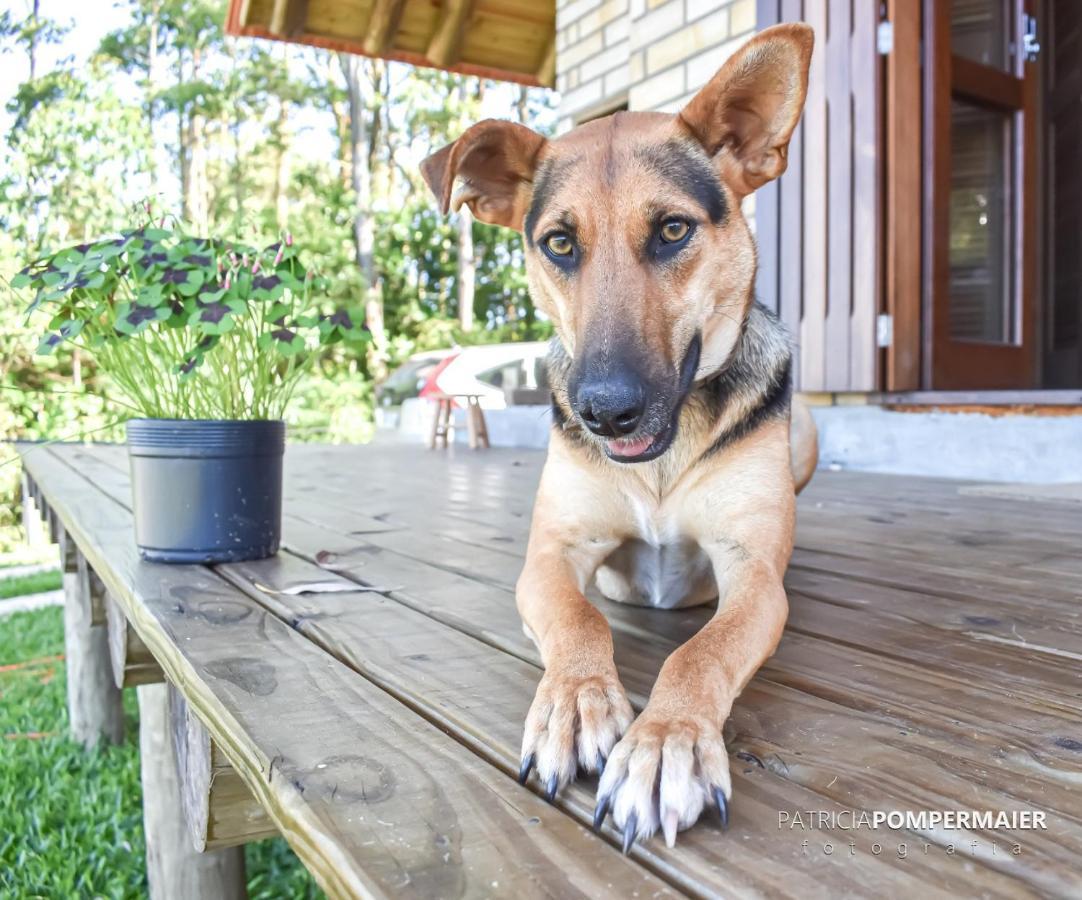 Uruguaia Pet Friendly Chalet Torres