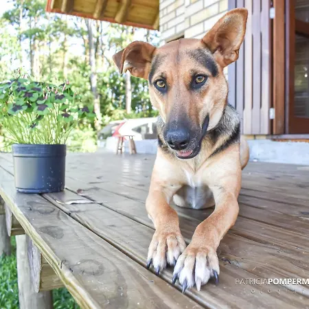 Cabana Uruguaia Pet Friendly Torres Exterior photo